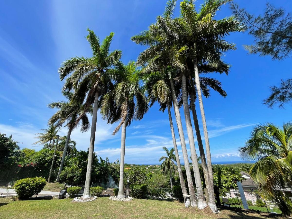 The Lodge @ Peaceful Palms Teluk Montego Bagian luar foto