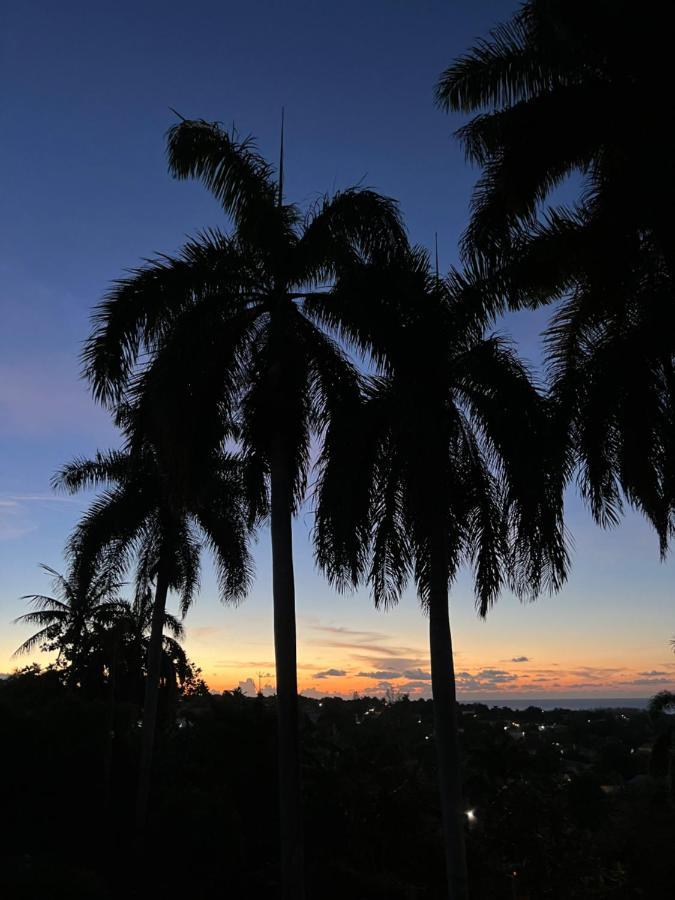 The Lodge @ Peaceful Palms Teluk Montego Bagian luar foto
