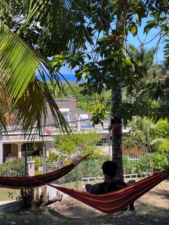 The Lodge @ Peaceful Palms Teluk Montego Bagian luar foto
